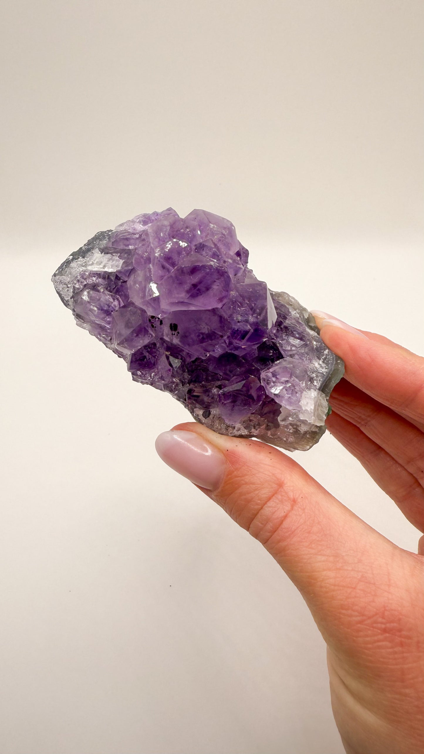 Amethyst - Druse / Stufe (Größe L)