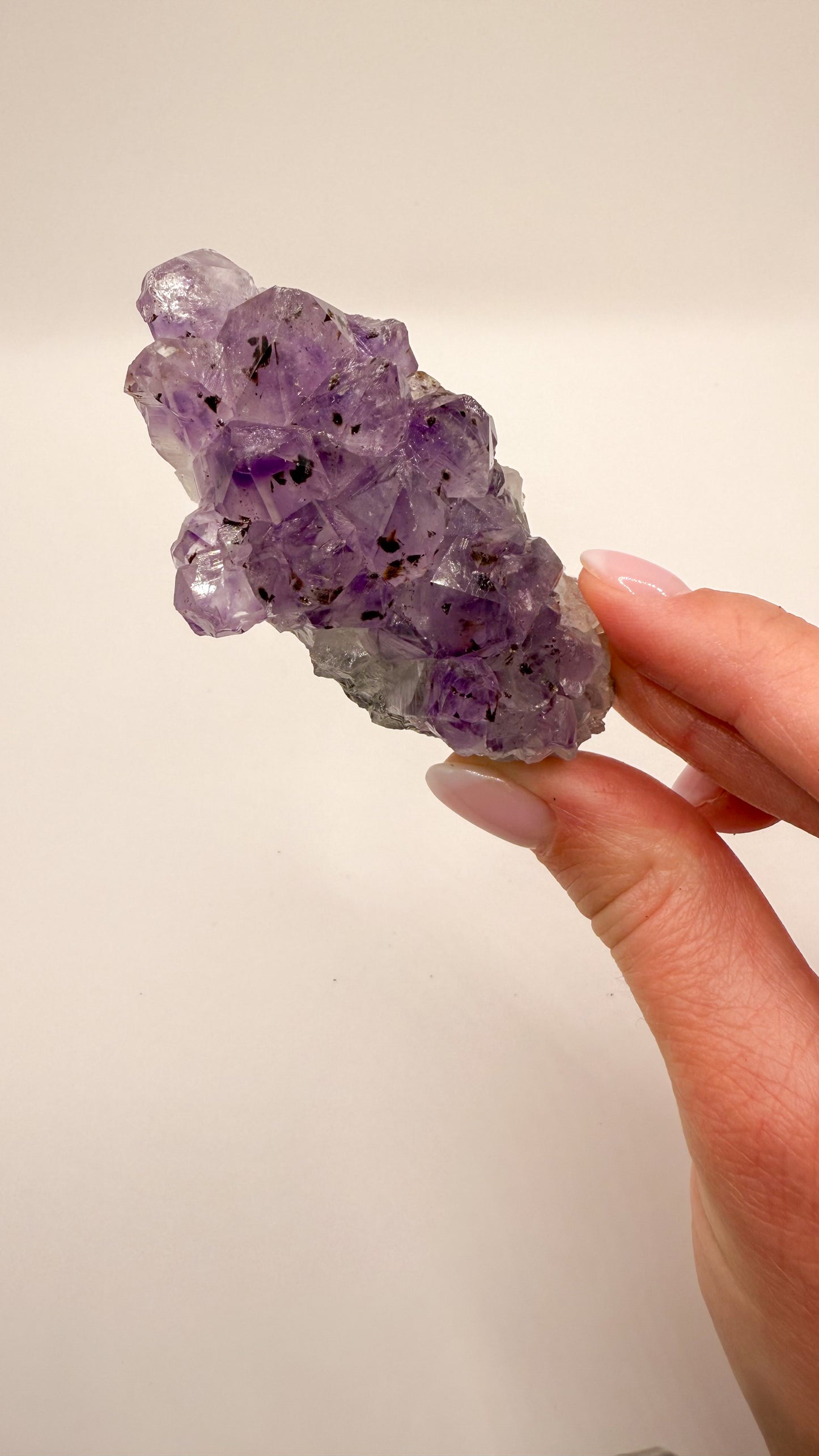 Amethyst - Druse / Stufe (Größe L)