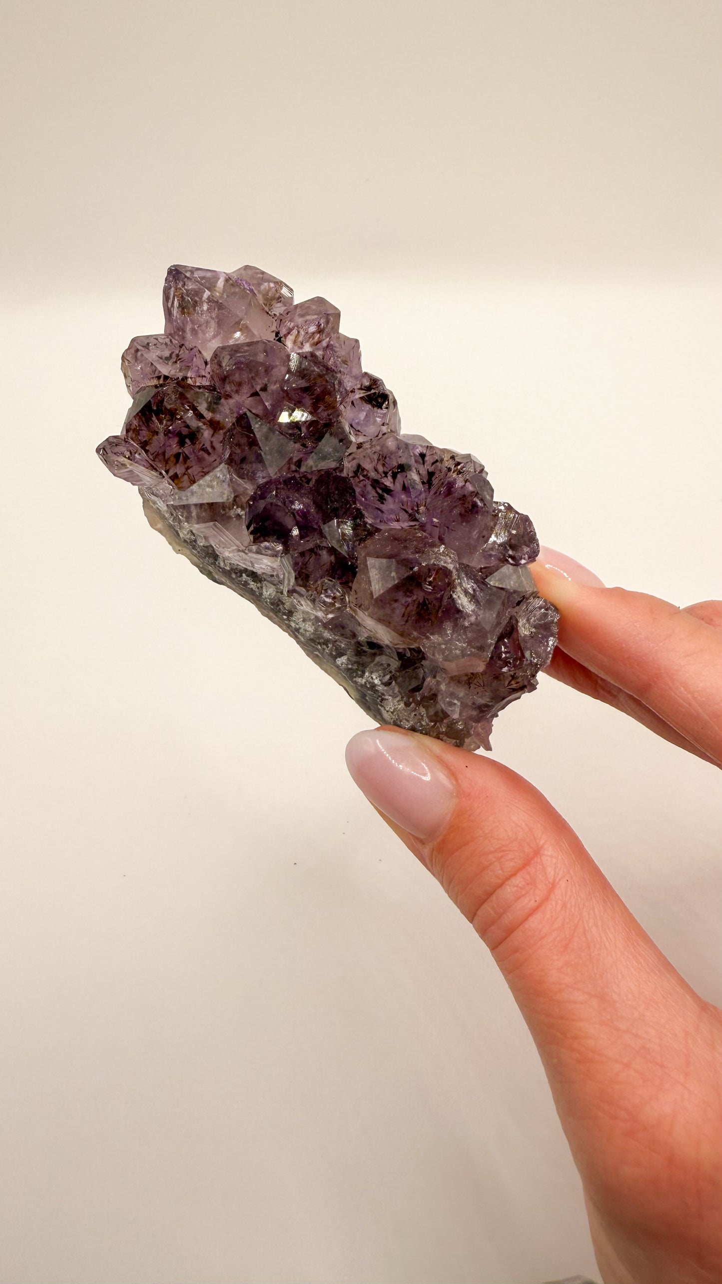 Amethyst - Druse / Stufe (Größe L)