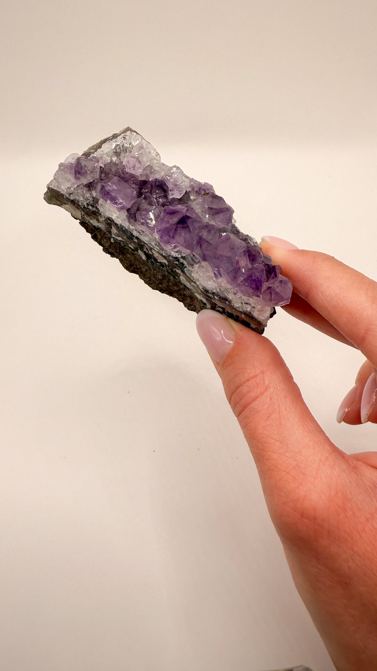 Amethyst - Druse / Stufe (Größe L)