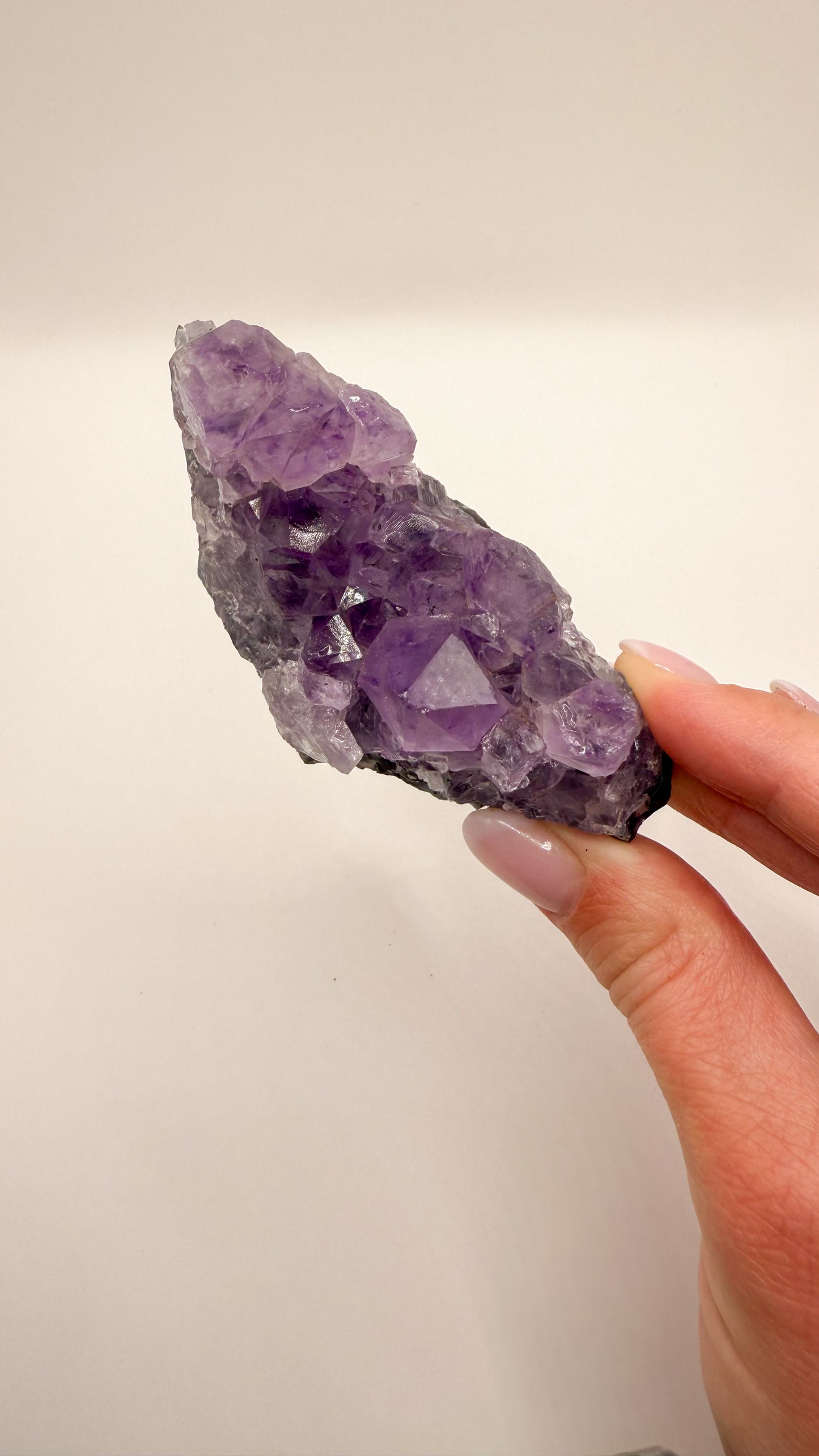 Amethyst - Druse / Stufe (Größe L)