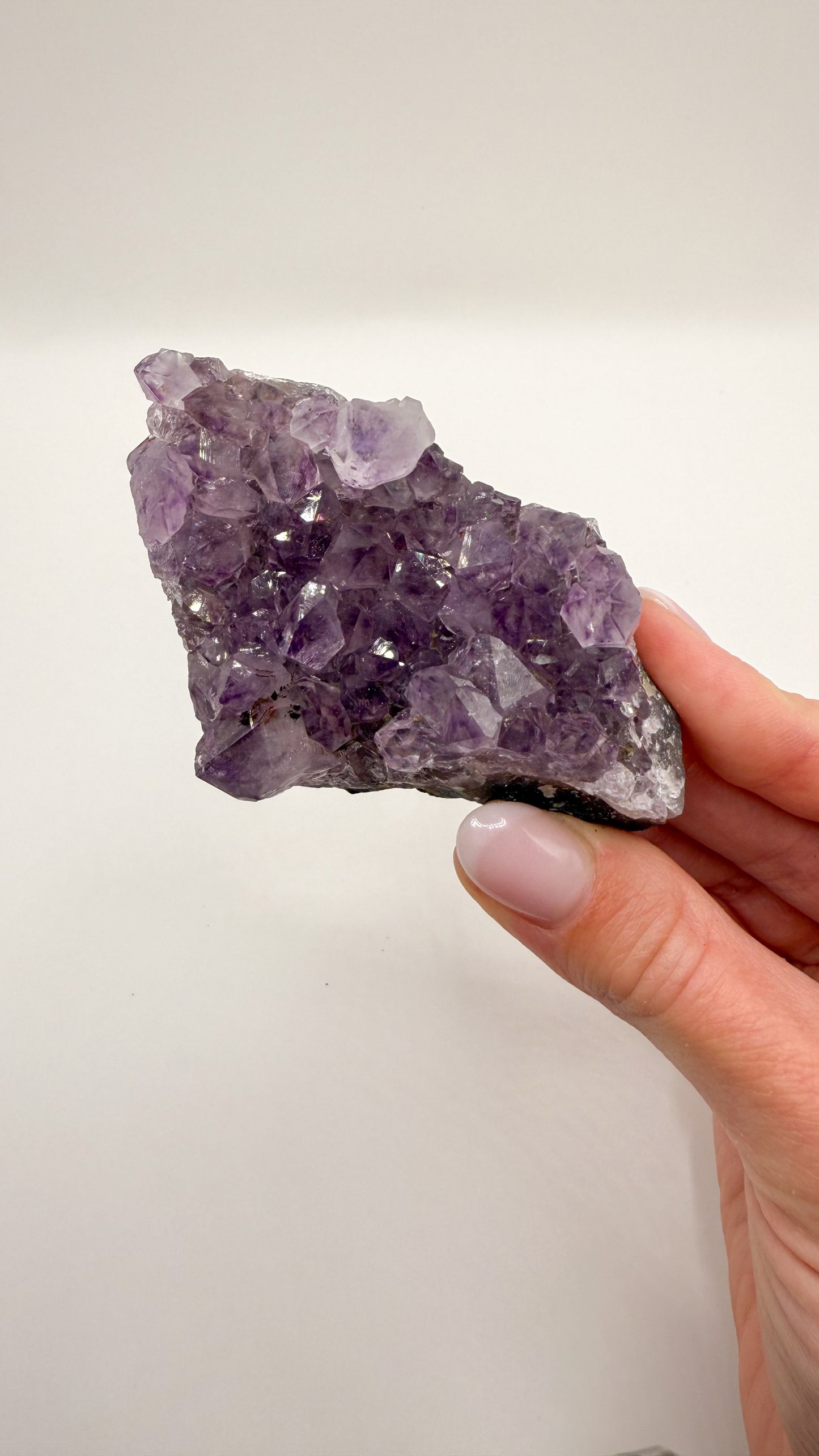 Amethyst - Druse / Stufe (Größe L)