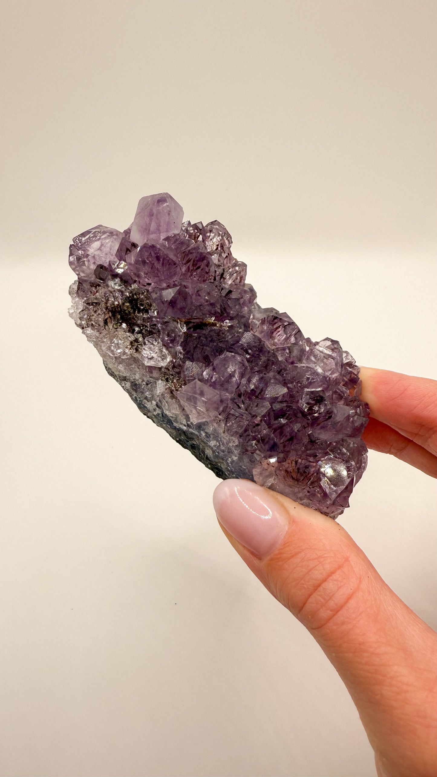 Amethyst - Druse / Stufe (Größe L)