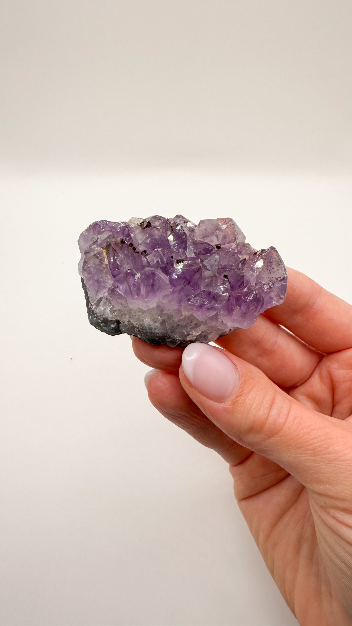 Amethyst - Druse / Stufe (Größe S)