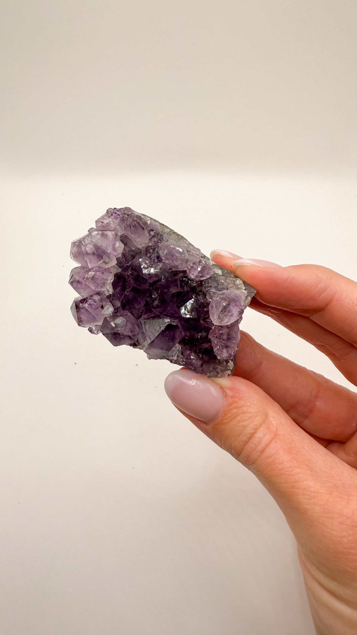 Amethyst - Druse / Stufe (Größe S)