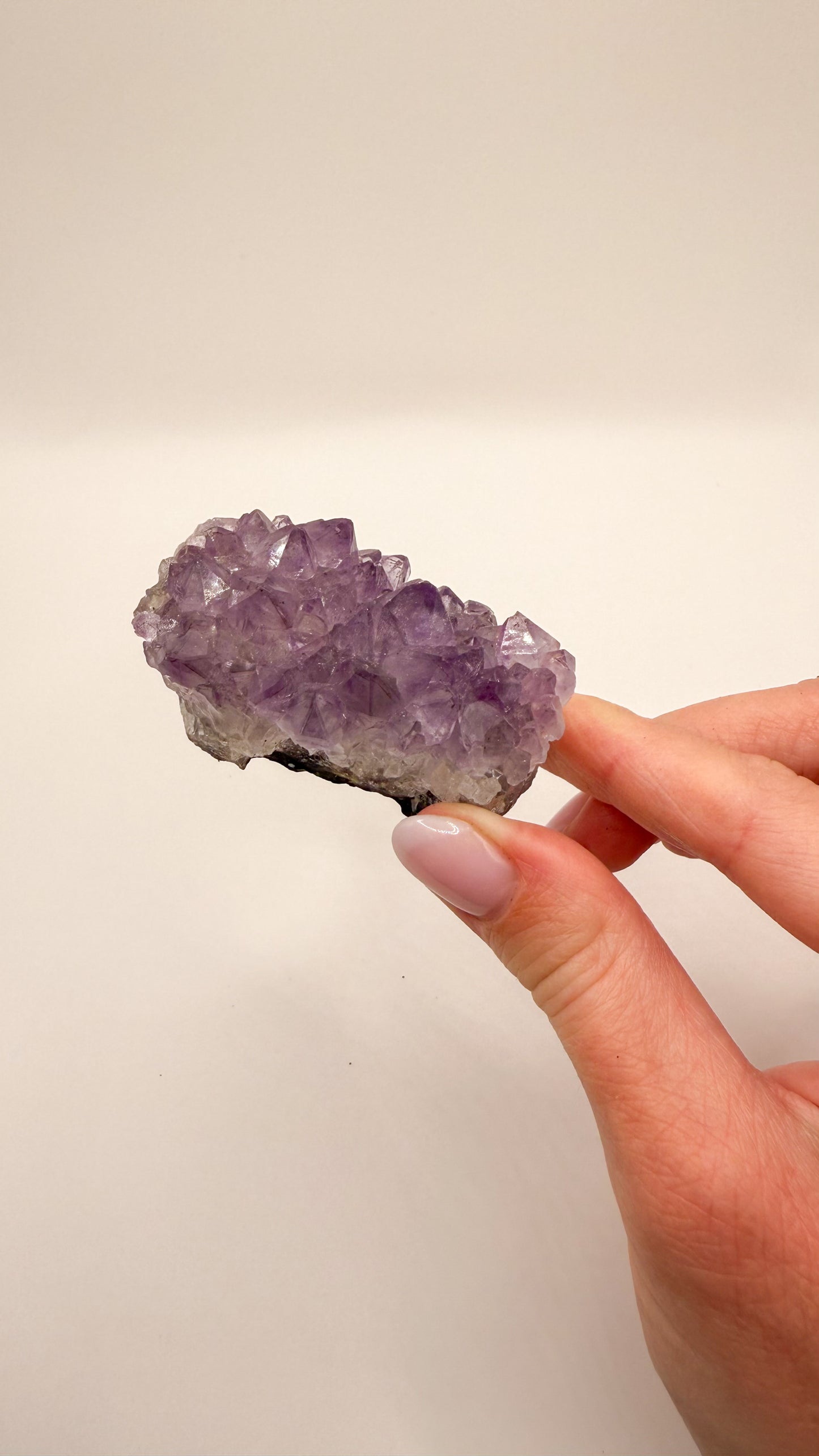 Amethyst - Druse / Stufe (Größe M)