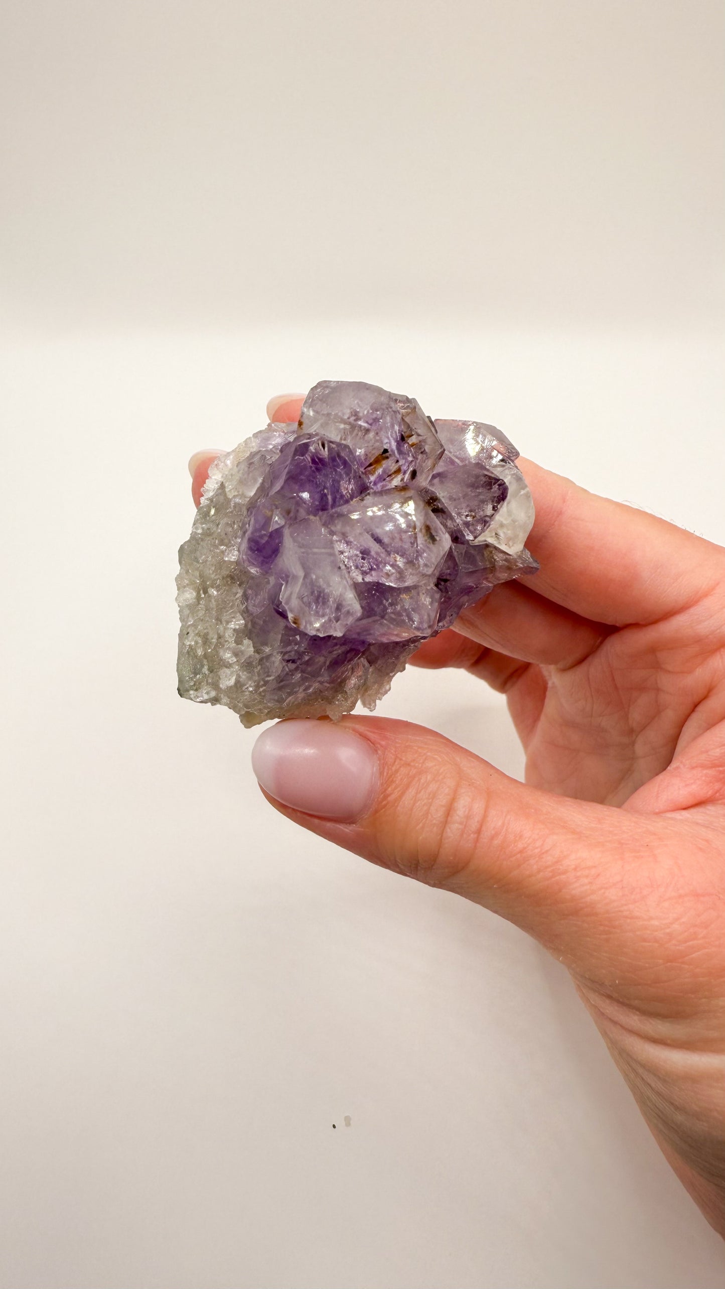 Amethyst - Druse / Stufe (Größe S)