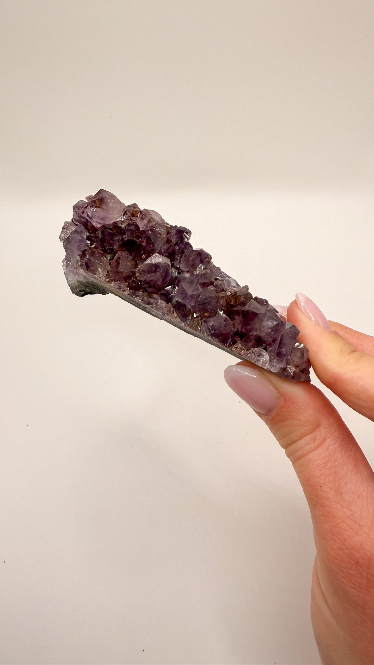 Amethyst - Druse / Stufe (Größe M)