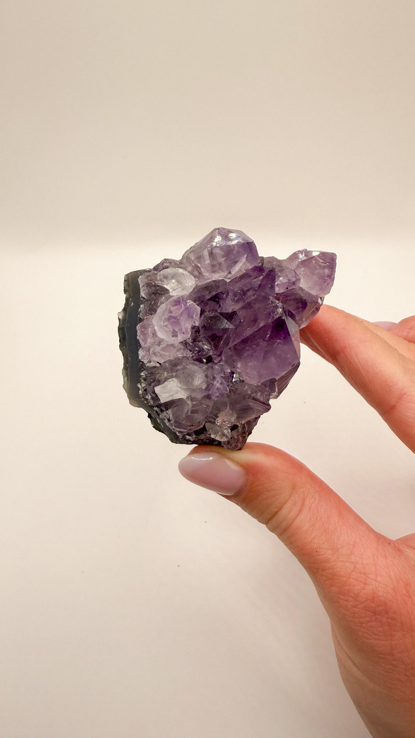 Amethyst - Druse / Stufe (Größe M)