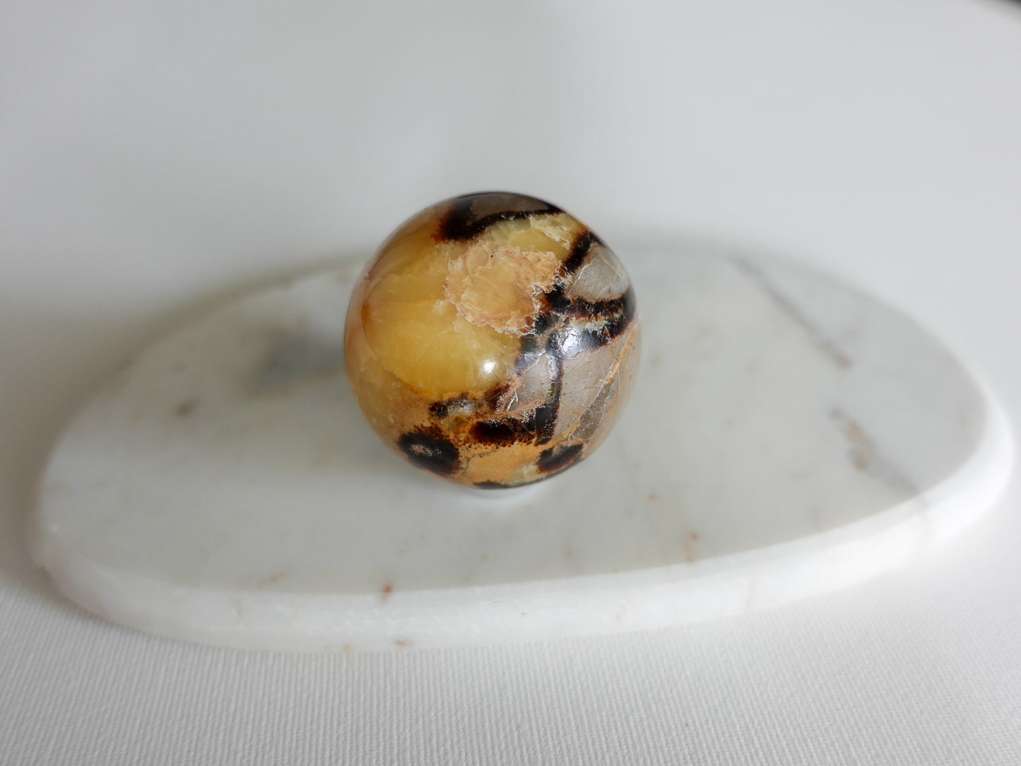 Septarien Kugel - 57 mm