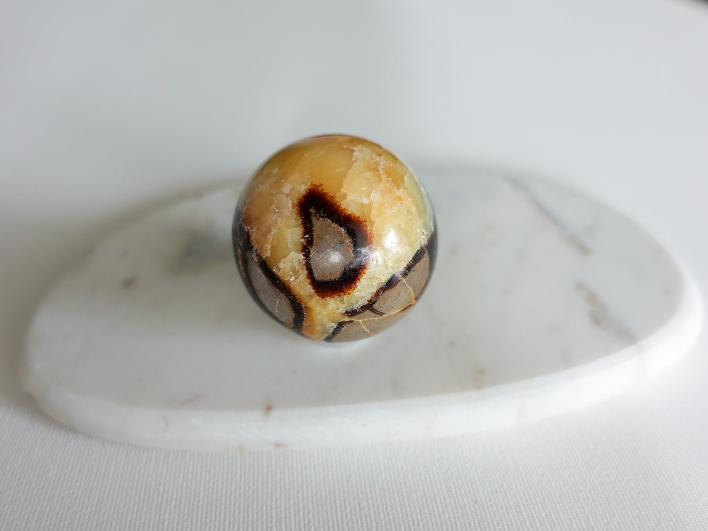 Septarien Kugel - 57 mm