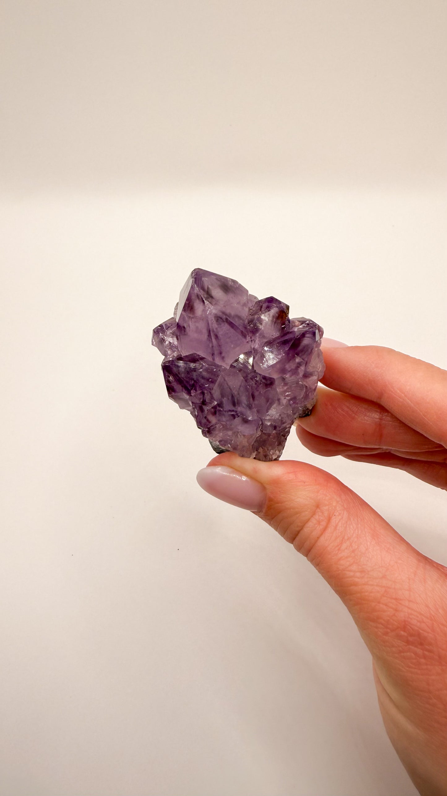 Amethyst - Druse / Stufe (Größe S)