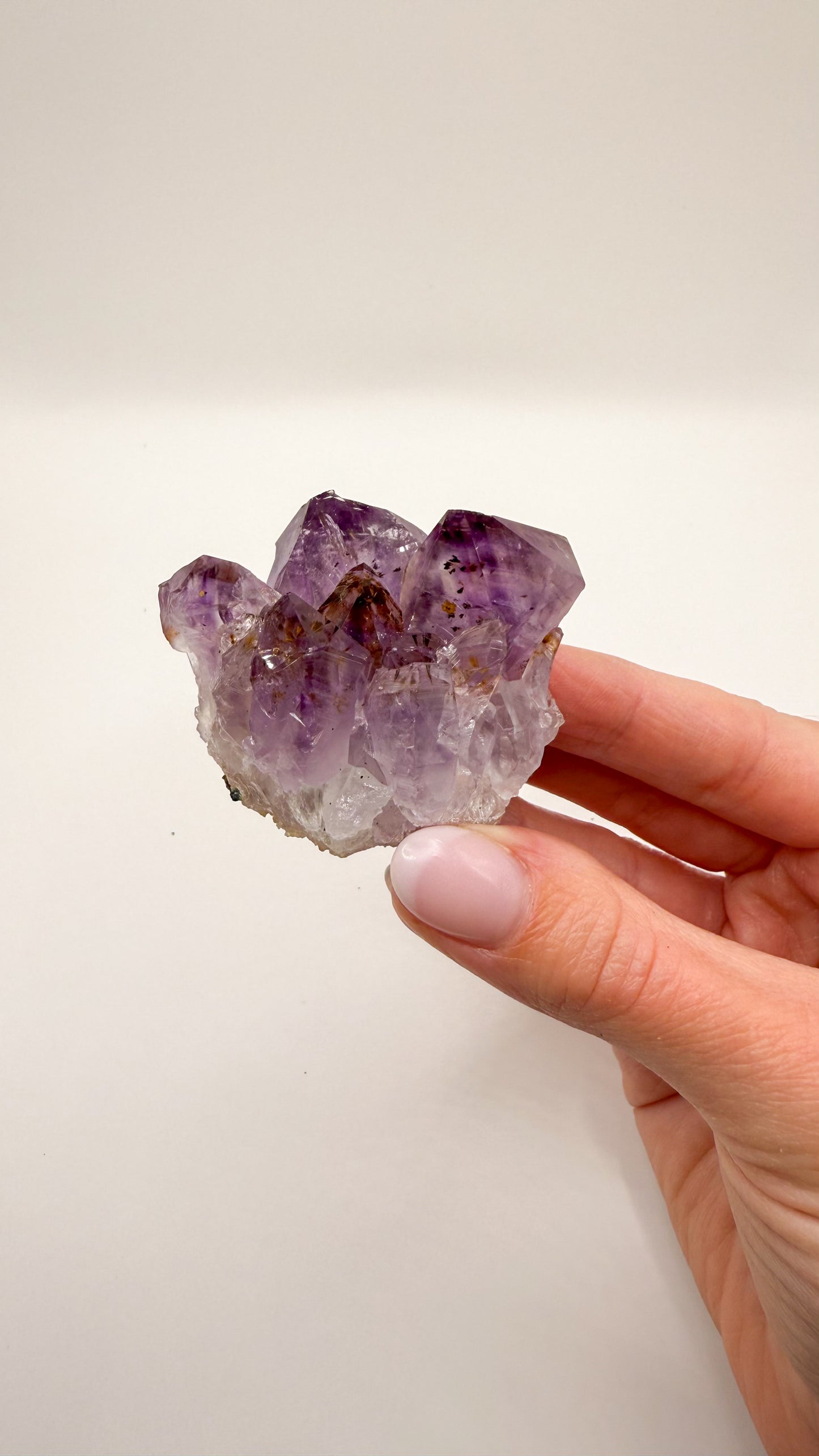 Amethyst - Druse / Stufe (Größe S)