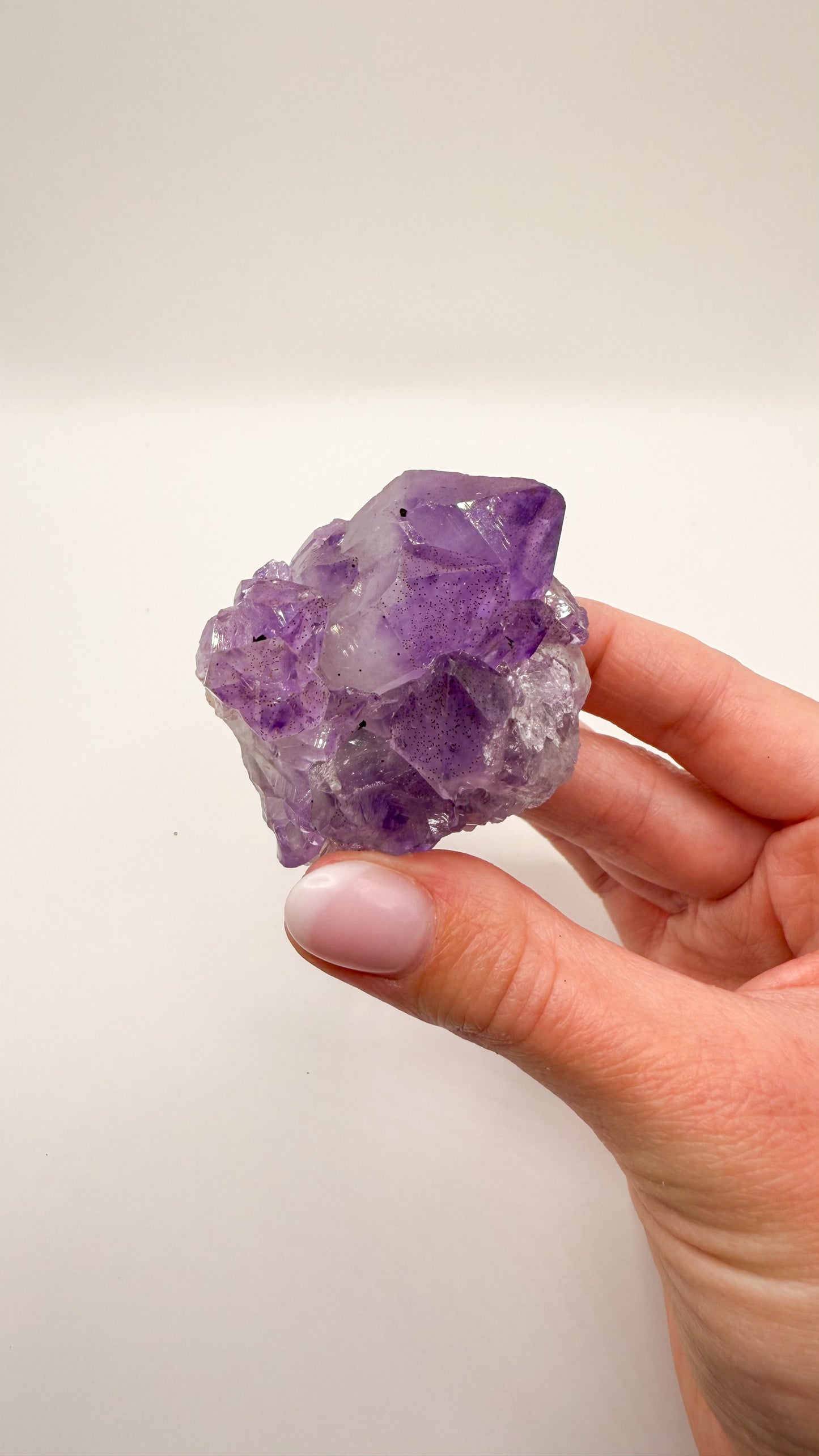 Amethyst - Druse / Stufe (Größe S)