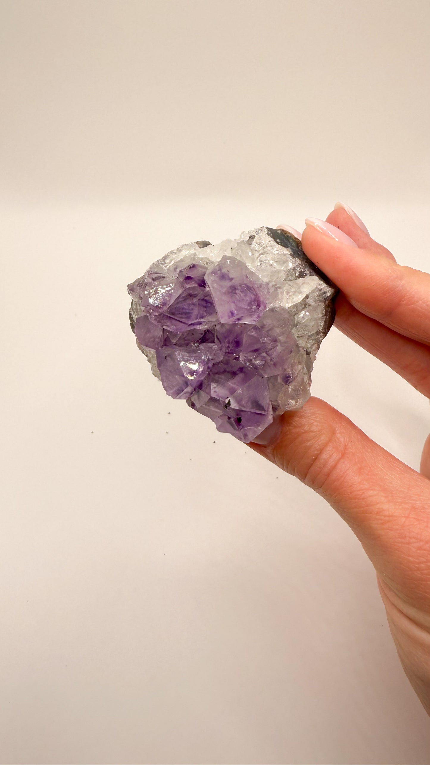 Amethyst - Druse / Stufe (Größe S)