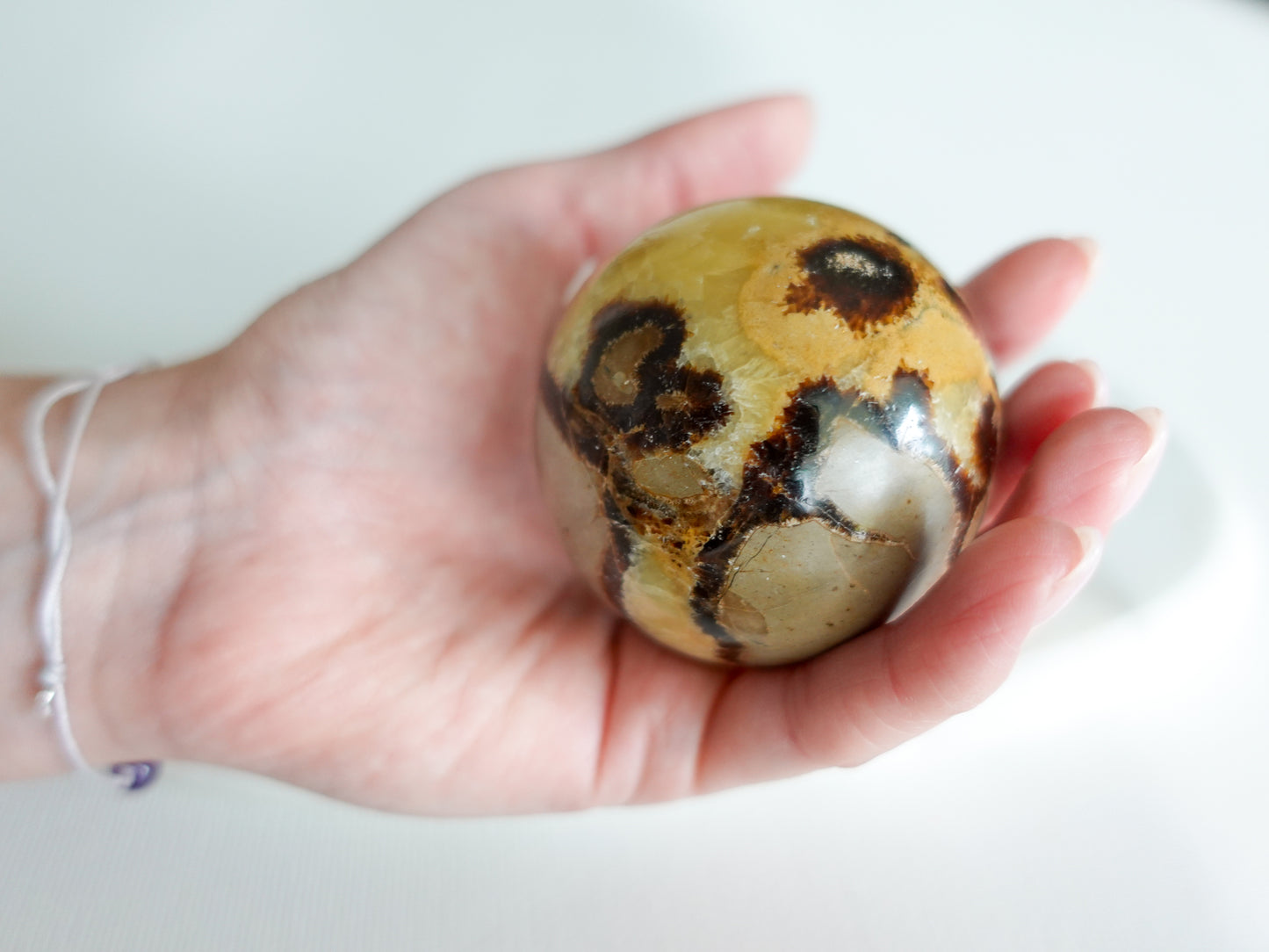 Septarien Kugel - 57 mm